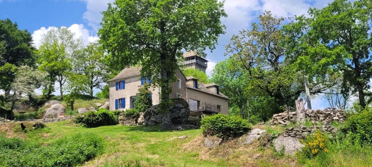 Gite A La Tour De Peyrebrune Villa Alrance Exterior photo